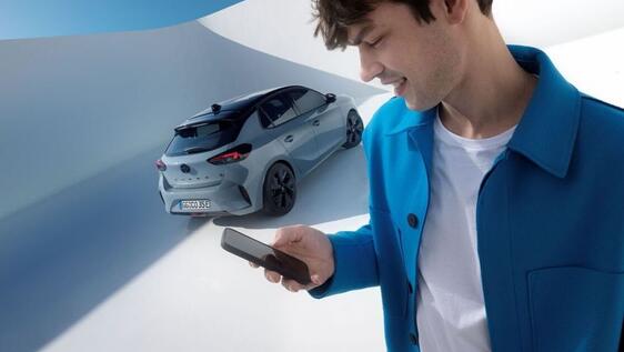 MY TRIP REPORT MY TRIP REPORT